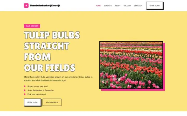 Weboldal tulipánhagyma-termesztő