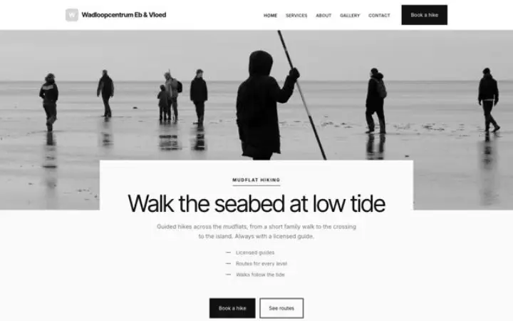 Weboldal wadlopen