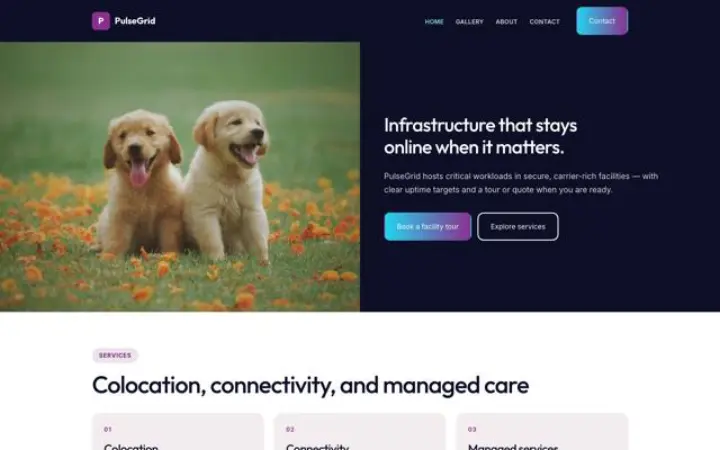 Téma: PulseGrid