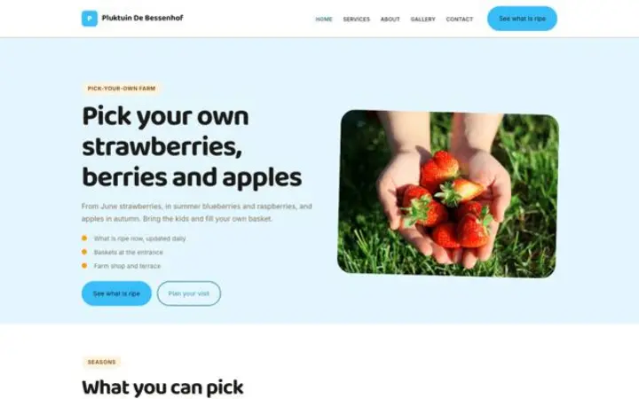Weboldal szedd magad kert